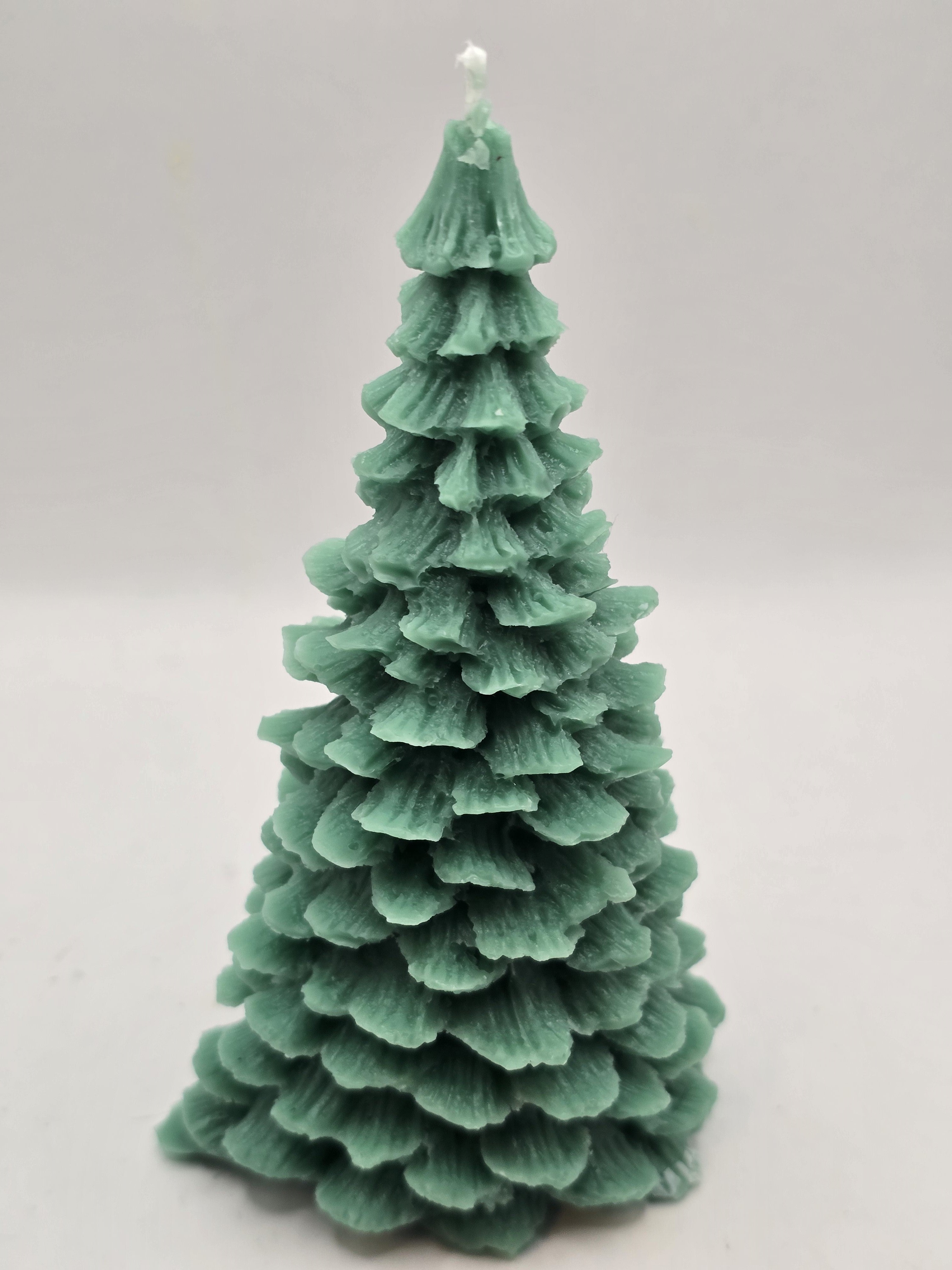 Evergreen Christmas Trees