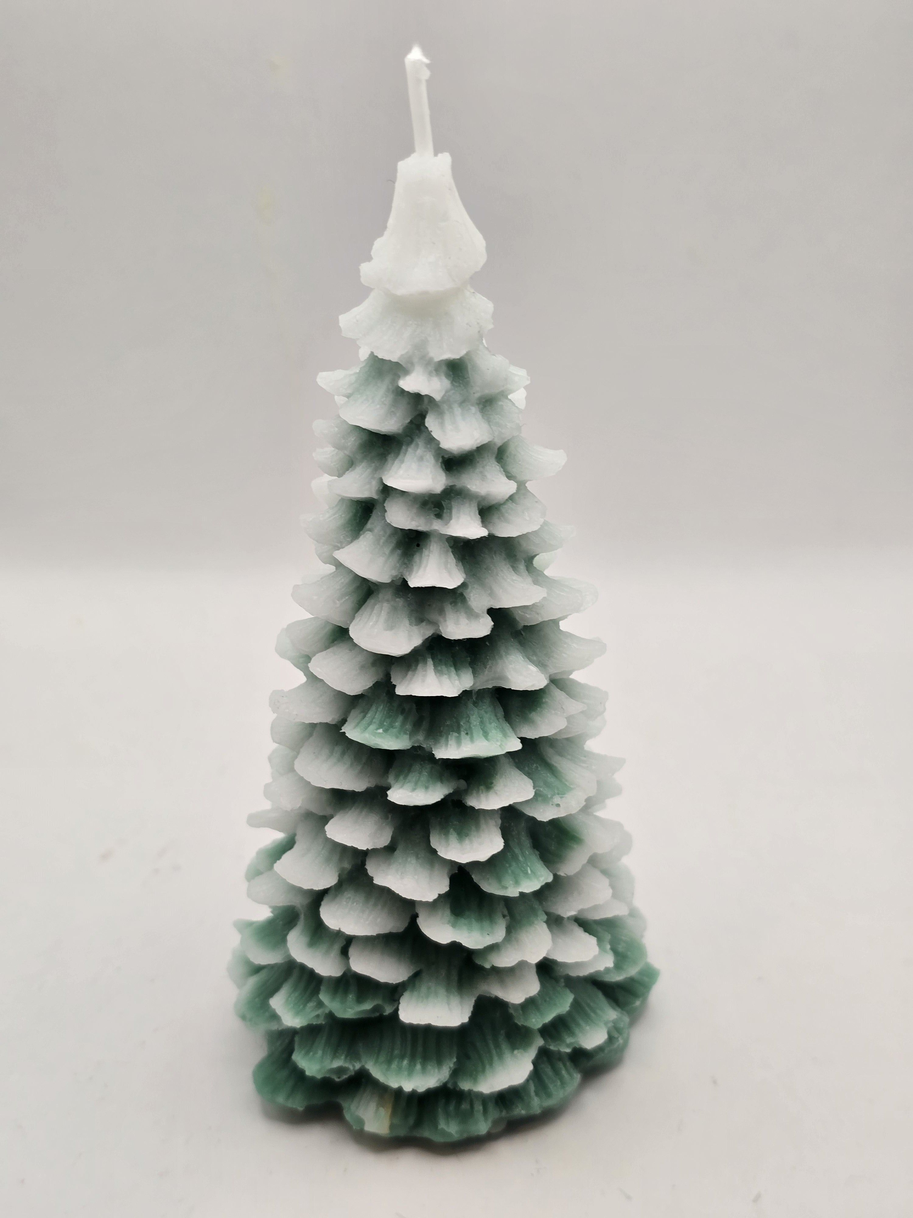 Evergreen Christmas Trees